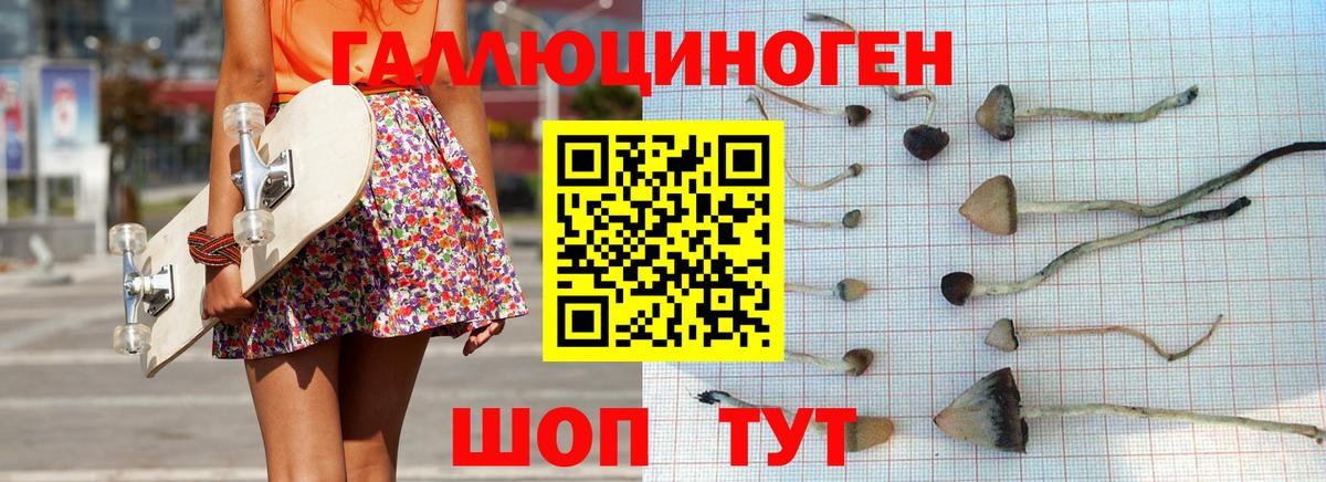 Галлюциногенные грибы мухоморы  Псилоцибиновые грибы Psilocybine cubensis  Мценск  Вход с VPN 