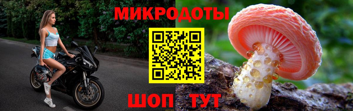 Галлюциногенные грибы Psilocybine cubensis Мценск
